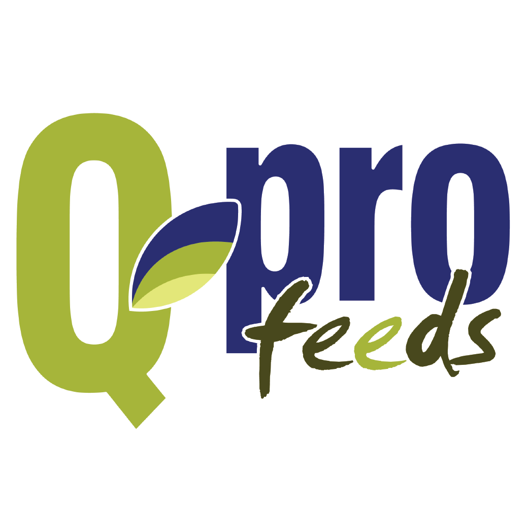 Feeds